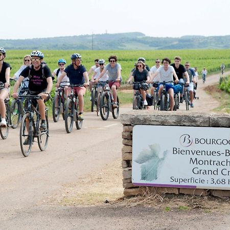 Le Lodge Du Parc Beaune  Eksteriør bilde