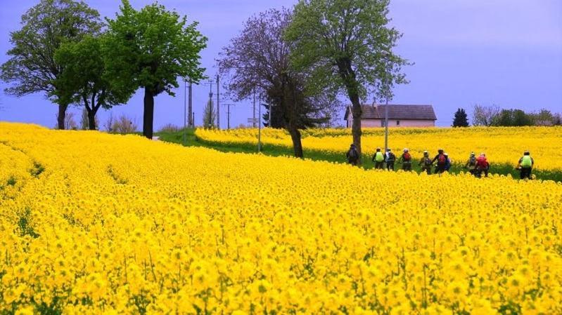 Le Lodge Du Parc Beaune  Eksteriør bilde