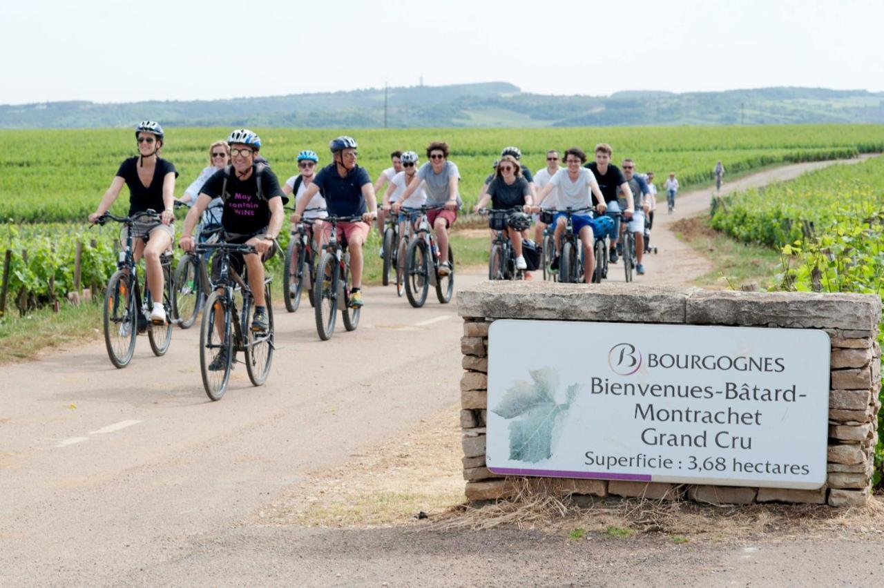 Le Lodge Du Parc Beaune  Eksteriør bilde