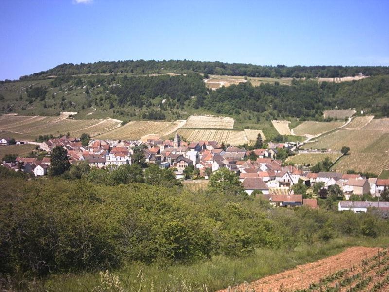 Le Lodge Du Parc Beaune  Eksteriør bilde